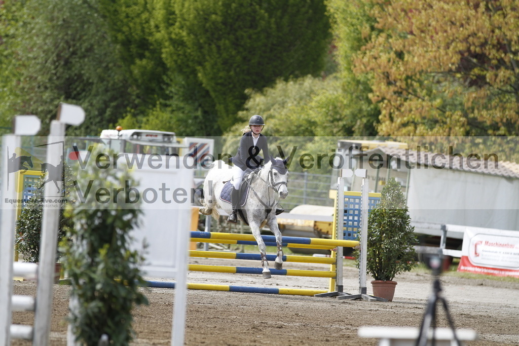_MG_2026 | equestrian-live-com