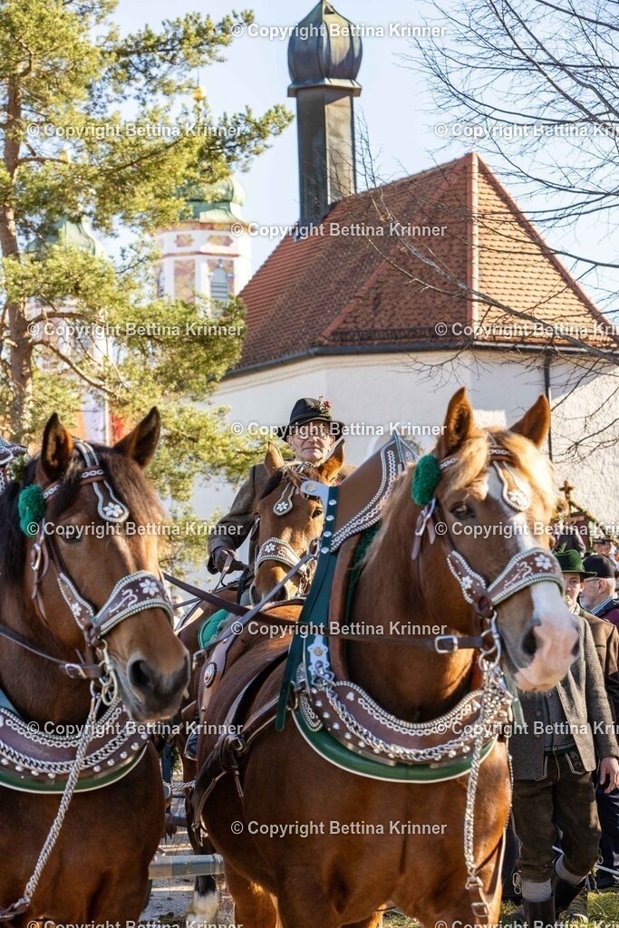LBT25-1181 | foto-bettina-krinner - Realisiert mit Pictrs.com