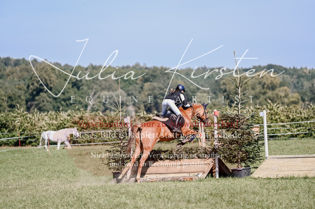 DSC_2981 | Pferde- und Turnierfotografie in Westsachsen. Pferdeportraits, Auftragszeichnungen und intuitive Kunst.