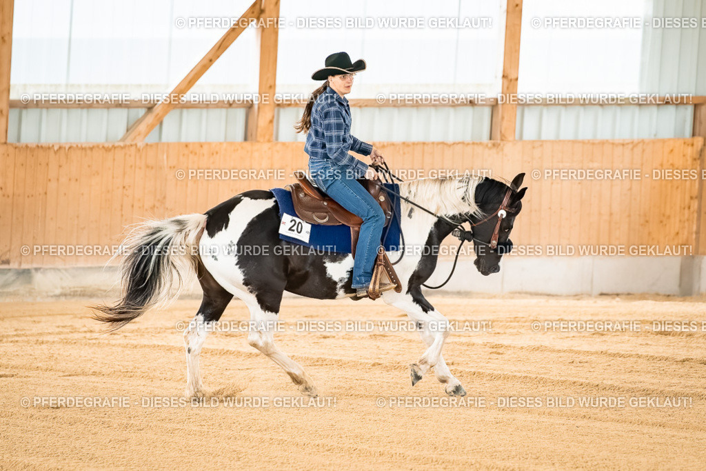 DSC02675 | Pferdegrafie