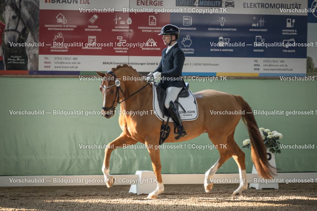 _D5A0413 | Emotionale Pferde- & People-Fotografie rund um Heidelberg, Leimen & Umgebung. Natürliche Fotos von Pferd, Mensch & Familie. Jetzt Termin sichern!