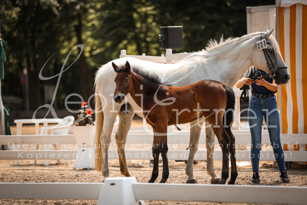 03.DoAB00037 | Leoni Ertmer Photography - Realisiert mit Pictrs.com