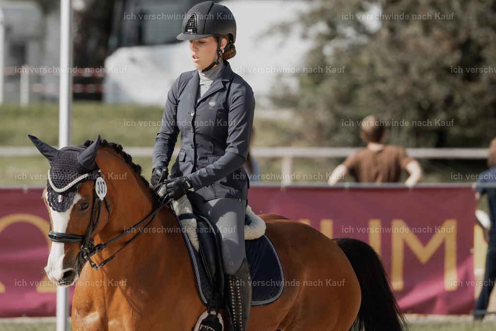 WE_ST_Stoib_337_PI2025_913 | Pferd International München 2025