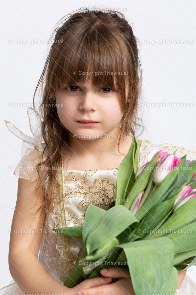 11 | Triavisual  - Realisiert mit Pictrs.com