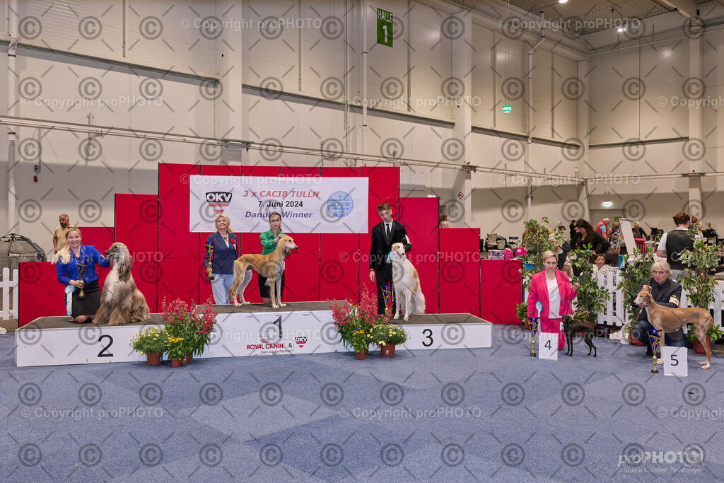 202406_ÖKV-IHA-Tulln24_NZ9_7895 | proPHOTO - Realisiert mit Pictrs.com