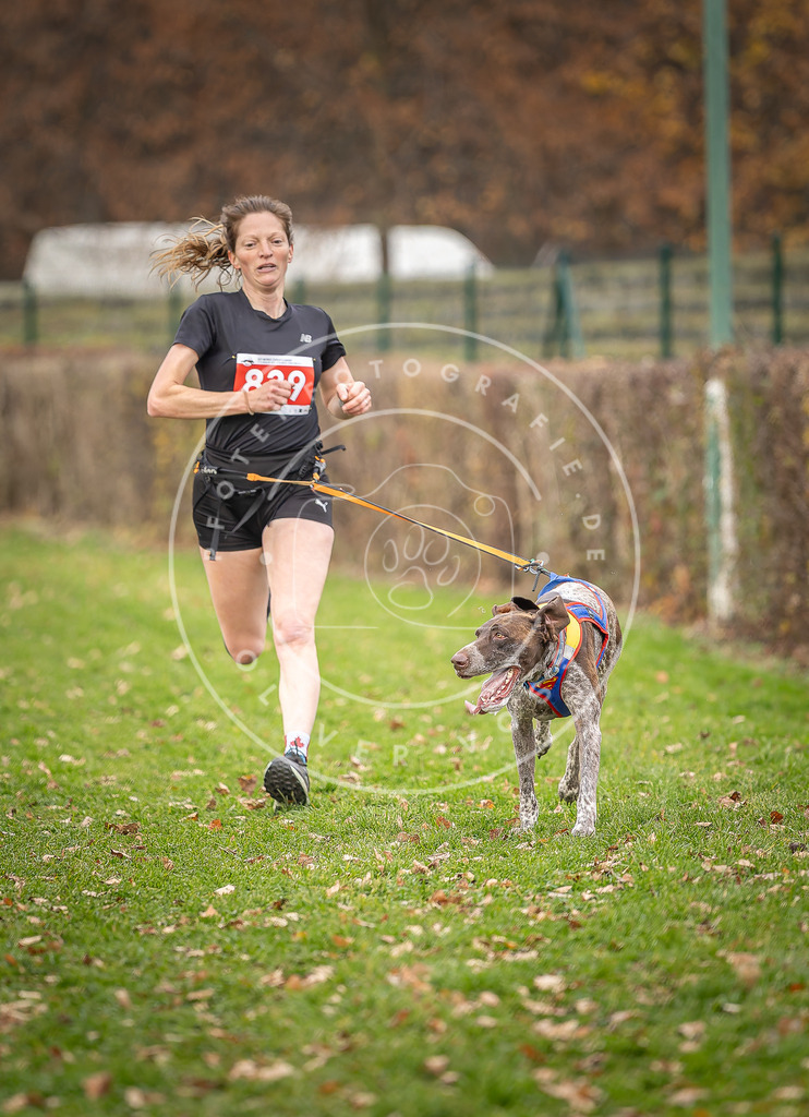 CaniXpix_DV3A6295 | Hundefotografie, Tierfotograf, Pfotenfotografie, Fotoshooting Hund, Hunde Portrait, Hundesport, Hundeportraits, Heideshooting, Hunde, Sportfotograf, Hundefotograf, Turnierhundsport, THS,  - Realisiert mit Pictrs.com