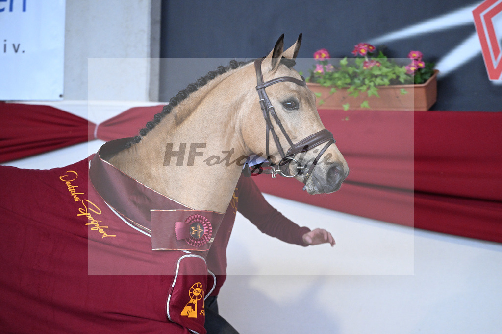 Kat-Nr. 7 Magnus HL v. Mescal_ZG Donau-Ries_7250980 | hf-fotografie - Realizzato con Pictrs.com