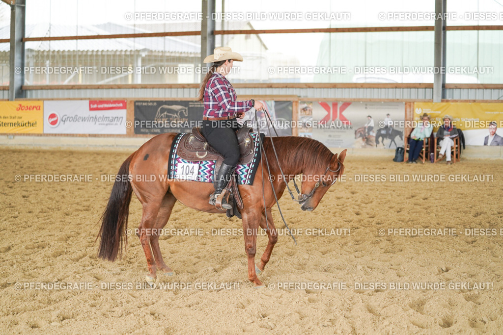 DSC04002 | Pferdegrafie