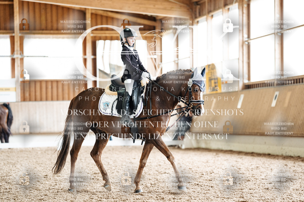 CK901633 | Turnierfotografie Pferdefotografie Trier Rheinland-Pfalz Pferdesport Reitsport Tierfotografie Sportfotografie Pferdevideo Pferdevideografie Equestrianvideography equestrianphotography  - Realized with Pictrs.com