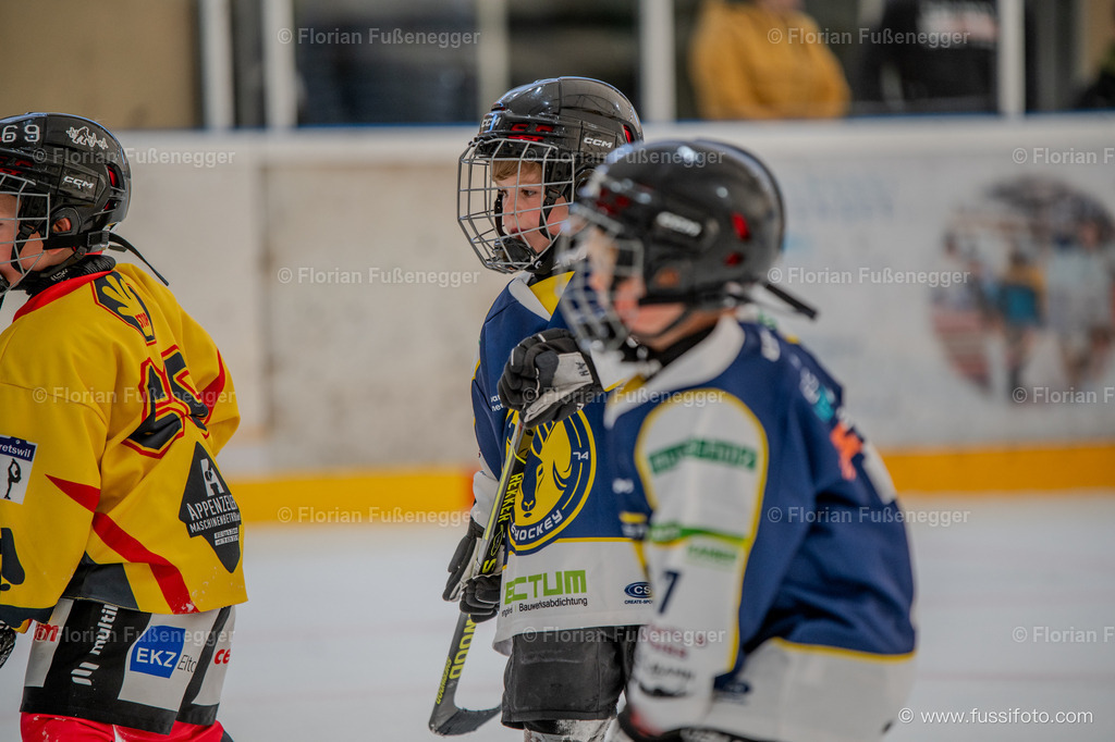 DSC_1068 | "Fussifoto.com – Ihr Ansprechpartner für hochwertige Fotografie! Entdecken Sie kreative Bilder und professionelle Dienstleistungen. Kontaktieren Sie uns für Ihre Projekte!"