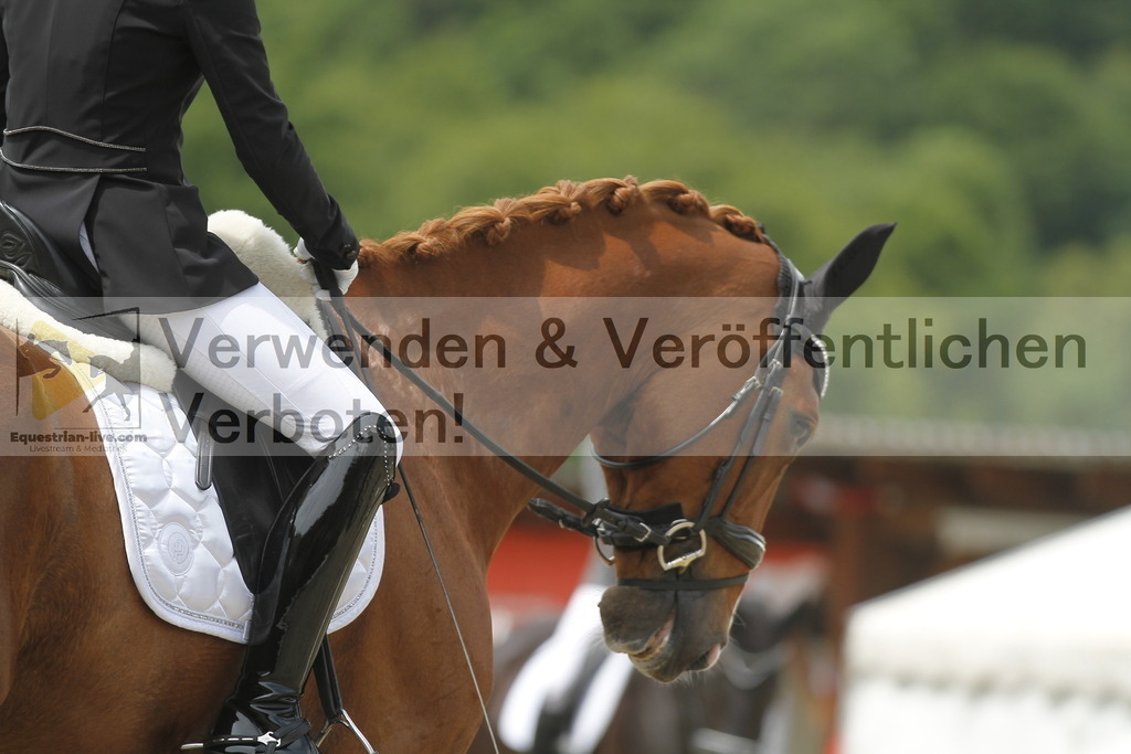 _MG_9147 | equestrian-live-com