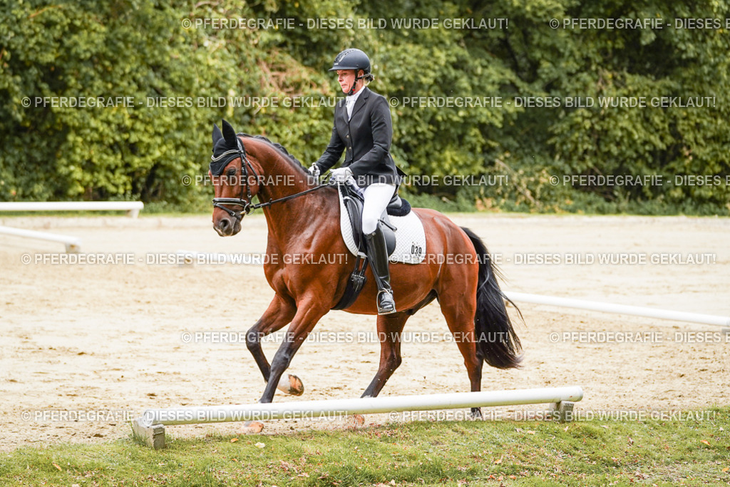 DSC09697 | Pferdegrafie