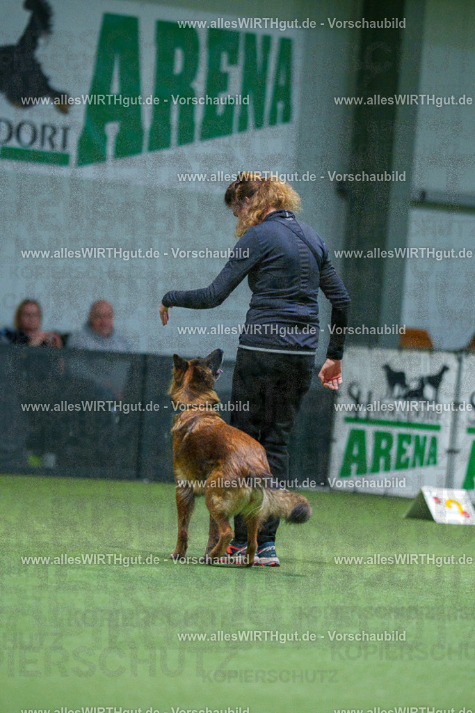 7R500925 | Professionelle Tierfotografie in Mönchengladbach von Daniel Wirth (allesWIRTHgut). Liebevolle & natürliche Bilder von Hunden & Katzen für unvergessliche Erinnerungen.