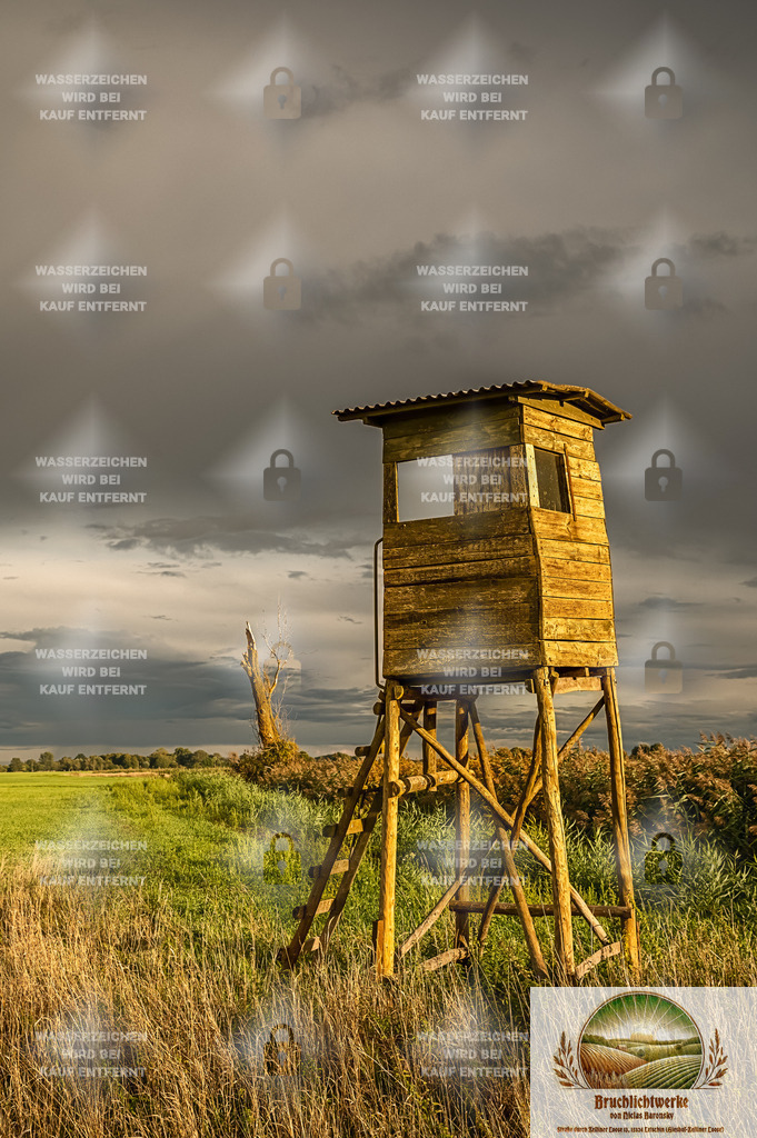 Waidmanns Dank | Landschaftsfotografie aus dem Oderbruch: Fine-Art-Prints im Shop, Fotoworkshops und ausgewählte Hochzeiten in Märkisch-Oderland & Oder-Spree.