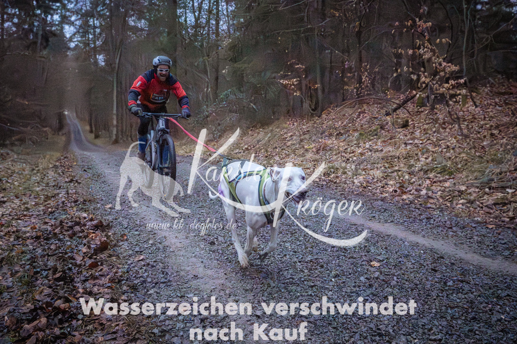 0802_ZZ94283 | kk-dogfotos