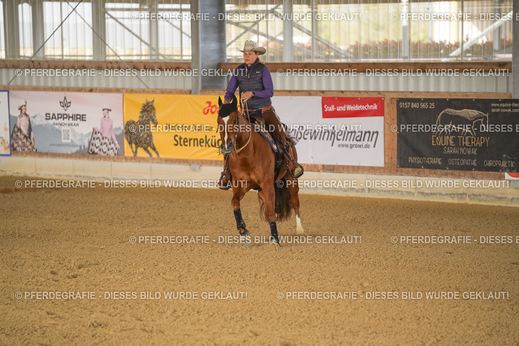 DSC01203 | Pferdegrafie