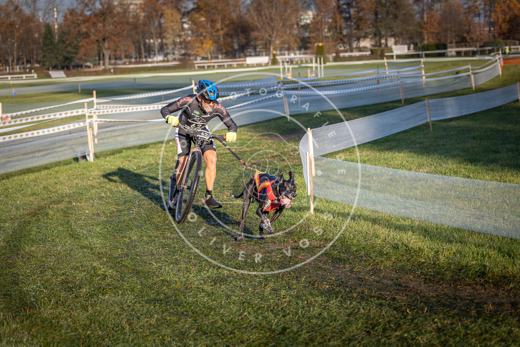 CaniXpix_0L8A3139 | Hundefotografie, Tierfotograf, Pfotenfotografie, Fotoshooting Hund, Hunde Portrait, Hundesport, Hundeportraits, Heideshooting, Hunde, Sportfotograf, Hundefotograf, Turnierhundsport, THS,  - Realisiert mit Pictrs.com