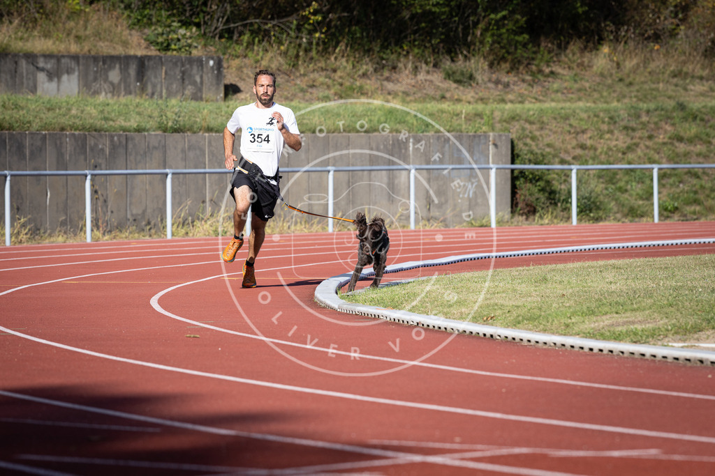 Pfotenfotografie_DV3A9567 | Hundefotografie, Tierfotograf, Pfotenfotografie, Fotoshooting Hund, Hunde Portrait, Hundesport, Hundeportraits, Heideshooting, Hunde, Sportfotograf, Hundefotograf, Turnierhundsport, THS,  - Realisiert mit Pictrs.com