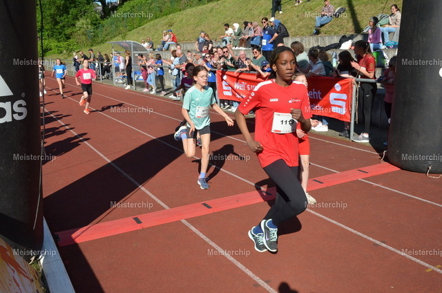 DSC_1619 | Meisterchip Fotoshop - Realisiert mit Pictrs.com