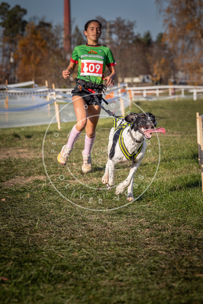 CaniXpix_0L8A8613 | Hundefotografie, Tierfotograf, Pfotenfotografie, Fotoshooting Hund, Hunde Portrait, Hundesport, Hundeportraits, Heideshooting, Hunde, Sportfotograf, Hundefotograf, Turnierhundsport, THS,  - Realisiert mit Pictrs.com