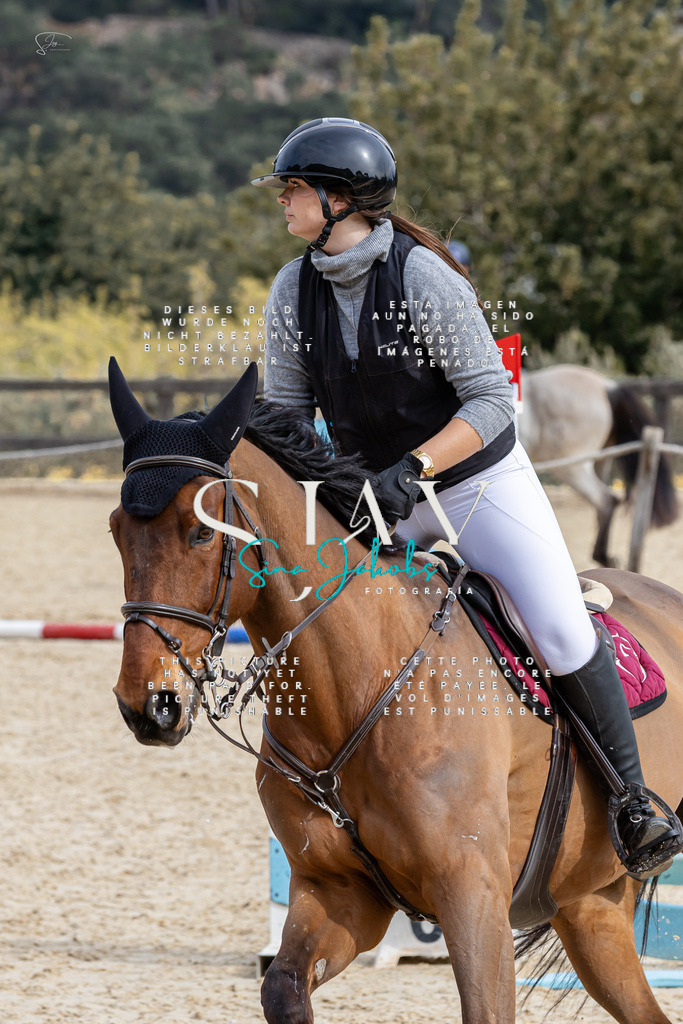 IMG_3700 | s-jay-photography - Realisiert mit Pictrs.com