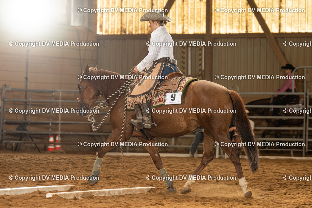 NID01554 | dv-media-shop - Realisiert mit Pictrs.com