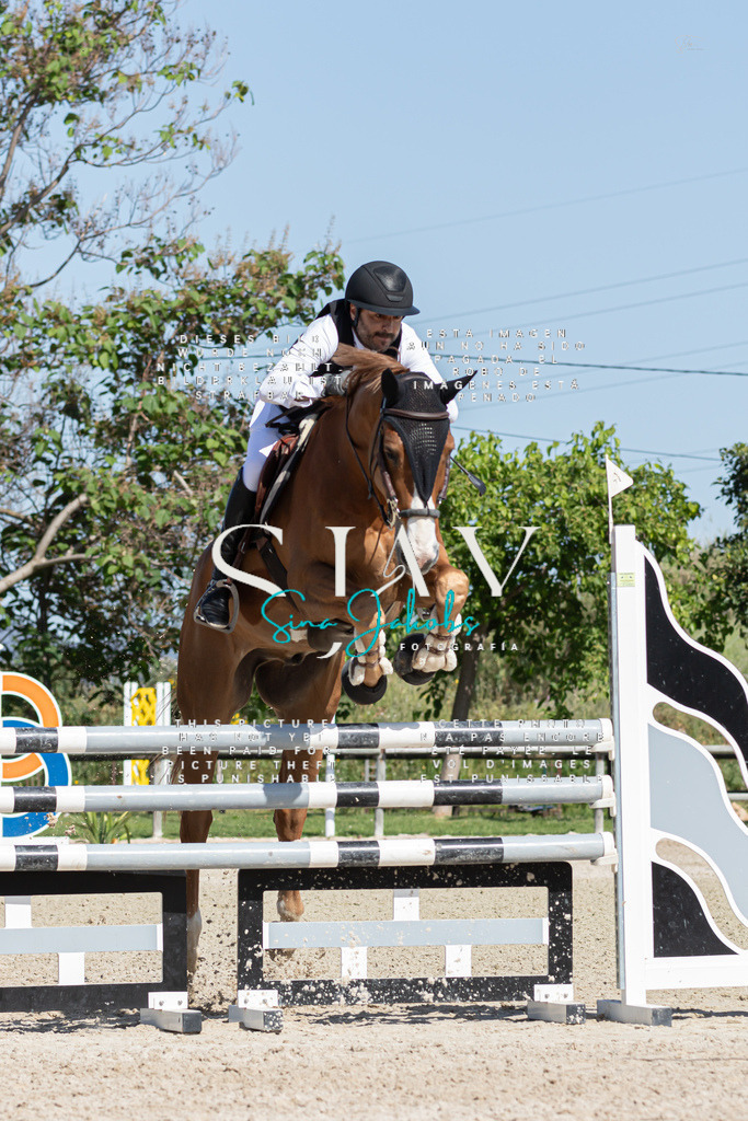 IMG_0842 | s-jay-photography - Realized with Pictrs.com