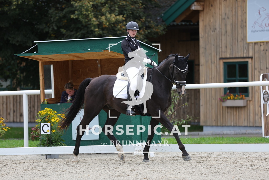 0P6A8872 | Willkommen bei Brunnmayr - Design & Fotografie – Ihrem Spezialisten für Reitturniere und Pferdeveranstaltungen in Oberösterreich, Salzburg und Bayern! Seit über 17 Jahren sind wir leidenschaftlich dabei.