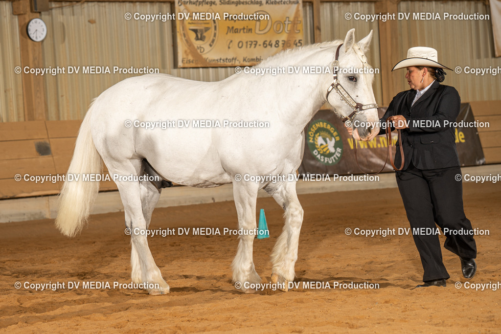 NID02420 | dv-media-shop - Realisiert mit Pictrs.com