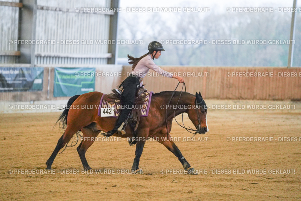 DSC09367 | Pferdegrafie