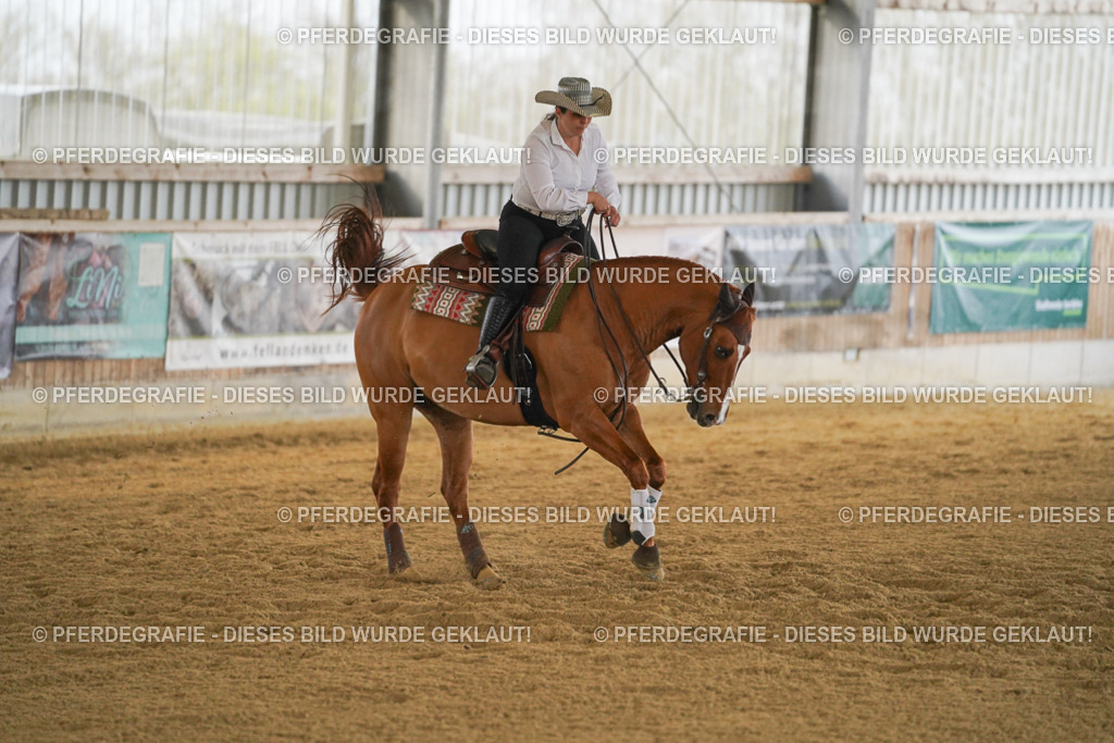 DSC08303 | Pferdegrafie