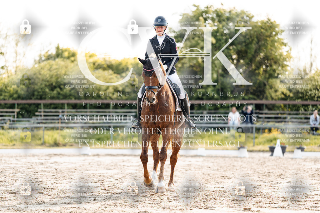 CK909778 | Turnierfotografie Pferdefotografie Trier Rheinland-Pfalz Pferdesport Reitsport Tierfotografie Sportfotografie Pferdevideo Pferdevideografie Equestrianvideography equestrianphotography  - Realisiert mit Pictrs.com