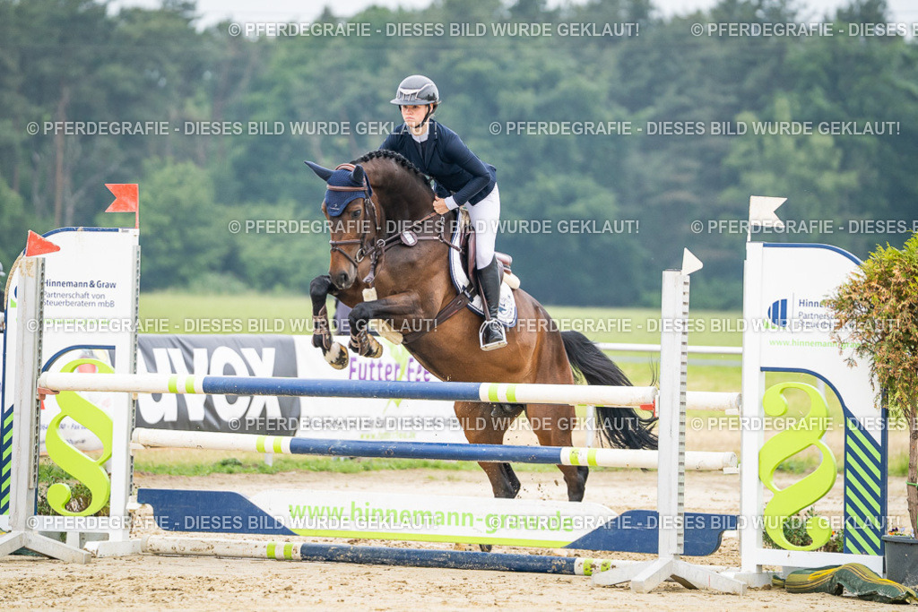 DSC00091 | Pferdegrafie