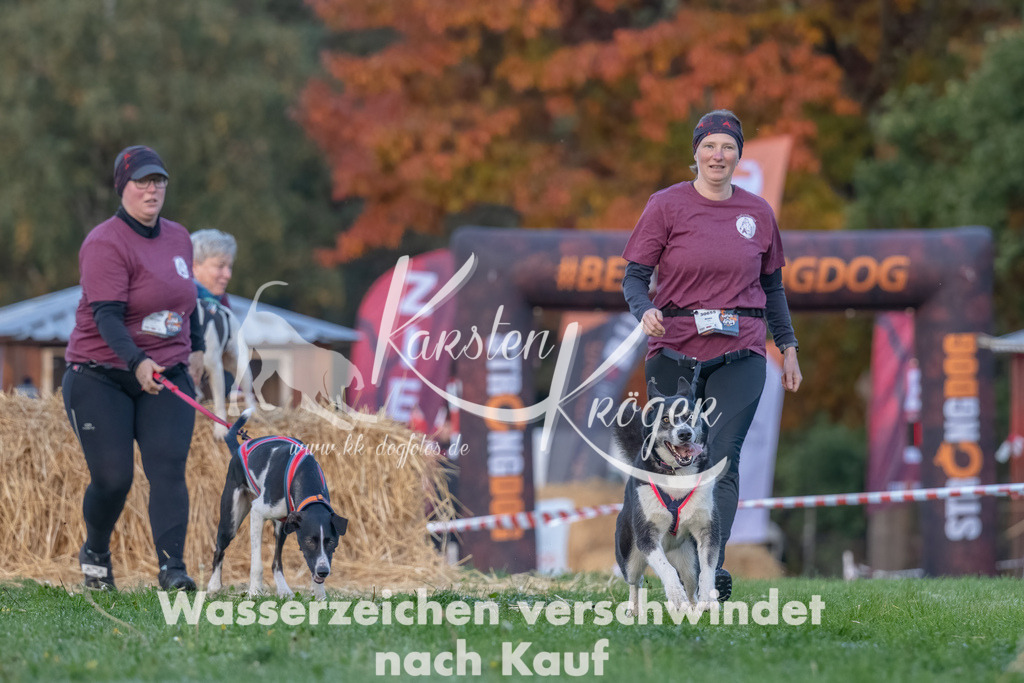 0826_ZZ90629-Bearbeitet | kk-dogfotos