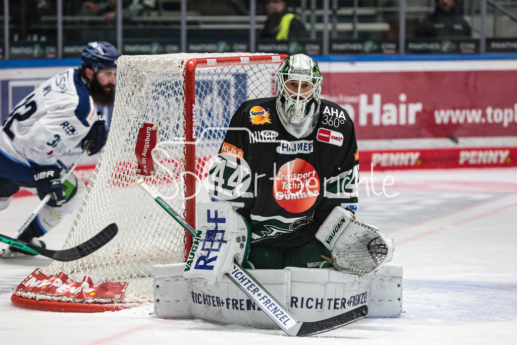 Augsburger Panther - Straubing Tigers | Dennis ENDRAS (AEV #44) in Aktion