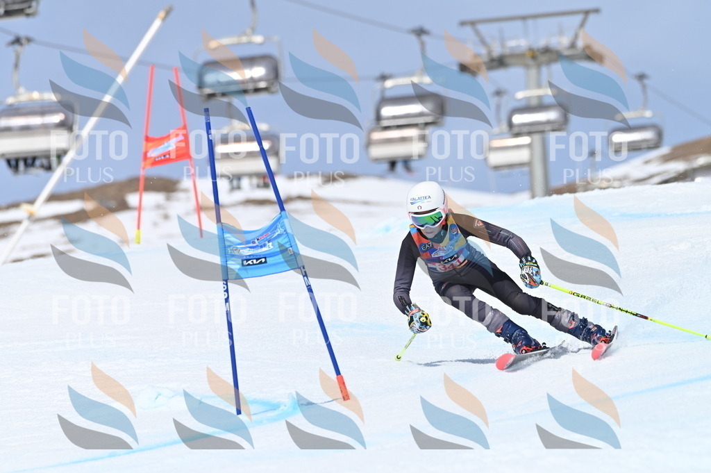 BGV_3465 | holidayphoto