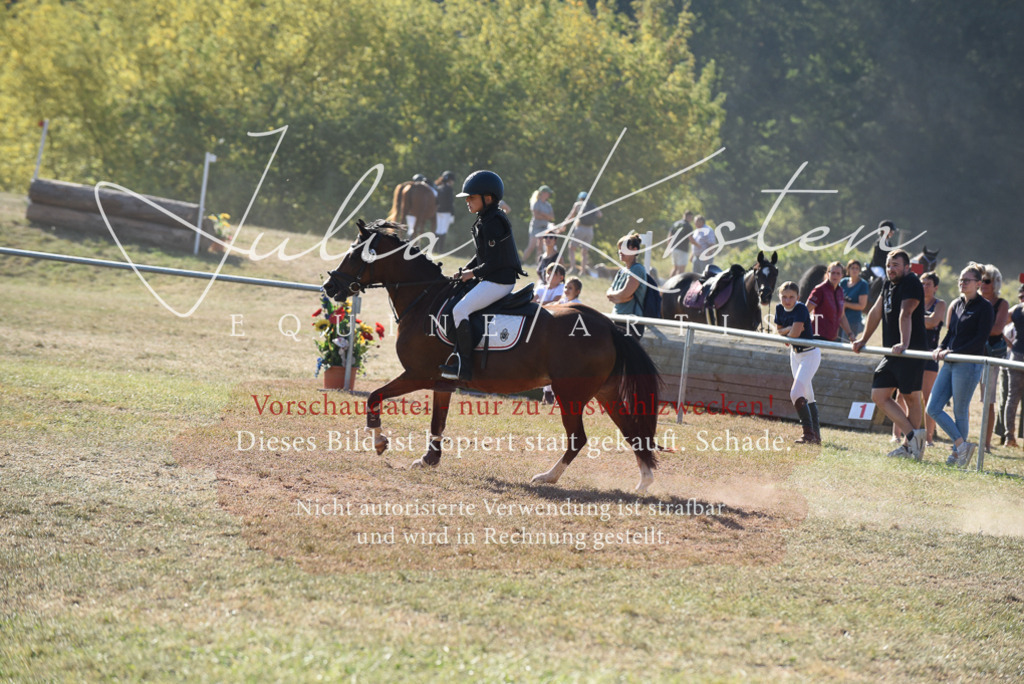 DSC_5771 | Pferde- und Turnierfotografie in Westsachsen. Pferdeportraits, Auftragszeichnungen und intuitive Kunst.