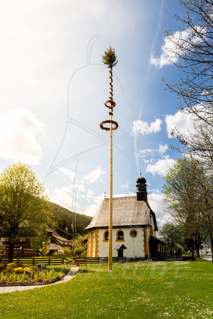 Maibaum Oberweißburg | Bei Veröffentlichung des Bildes ist eine Namensnennung wie folgt erforderlich: 
Foto: Mostdirn Irmgard Wieser - Realisiert mit Pictrs.com