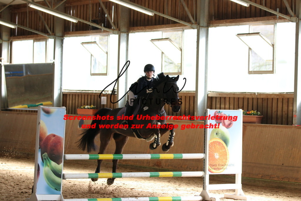 IMG_5567 | lmwpictures - Realisiert mit Pictrs.com