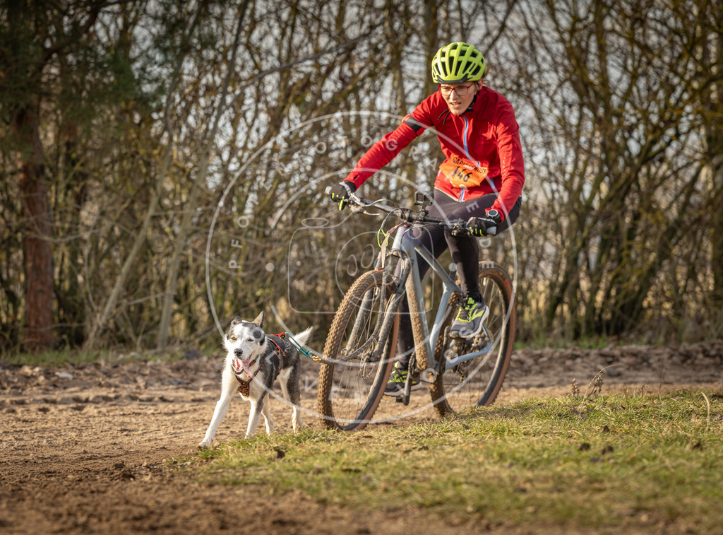 Pfotenfotografie_DV3A8711 | Hundefotografie, Tierfotograf, Pfotenfotografie, Fotoshooting Hund, Hunde Portrait, Hundesport, Hundeportraits, Heideshooting, Hunde, Sportfotograf, Hundefotograf, Turnierhundsport, THS,  - Realisiert mit Pictrs.com
