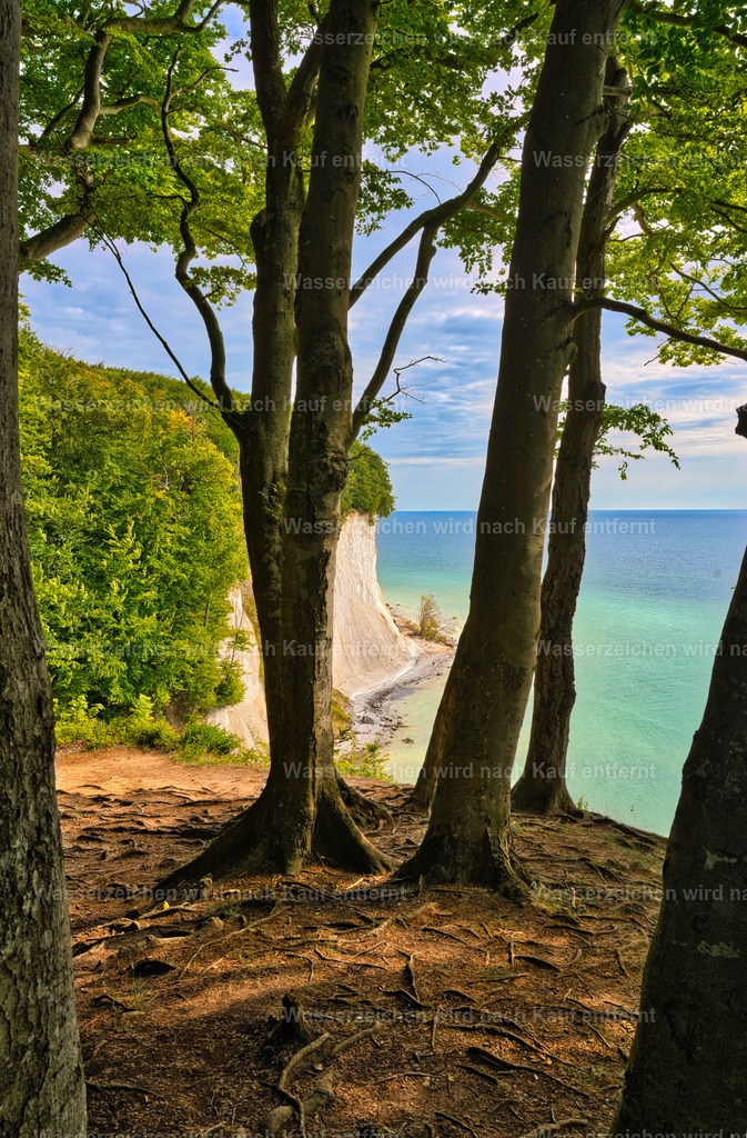 Rügen - Kreideküste mit Buchenwald | Der Nationalpark Jasmund auf der Insel Rügen ist Deutschlands kleinster Nationalpark und weltweit bekannt für seine imposanten Kreidefelsen, darunter der berühmte Königsstuhl. Zum UNESCO-Weltnaturerbe gehören außerdem die uralten Buchenwälder, die gemeinsam mit der einzigartigen Steilküste eine beeindruckende Natur- und Fotokulisse an der Ostsee bilden. - Realisiert mit Pictrs.com