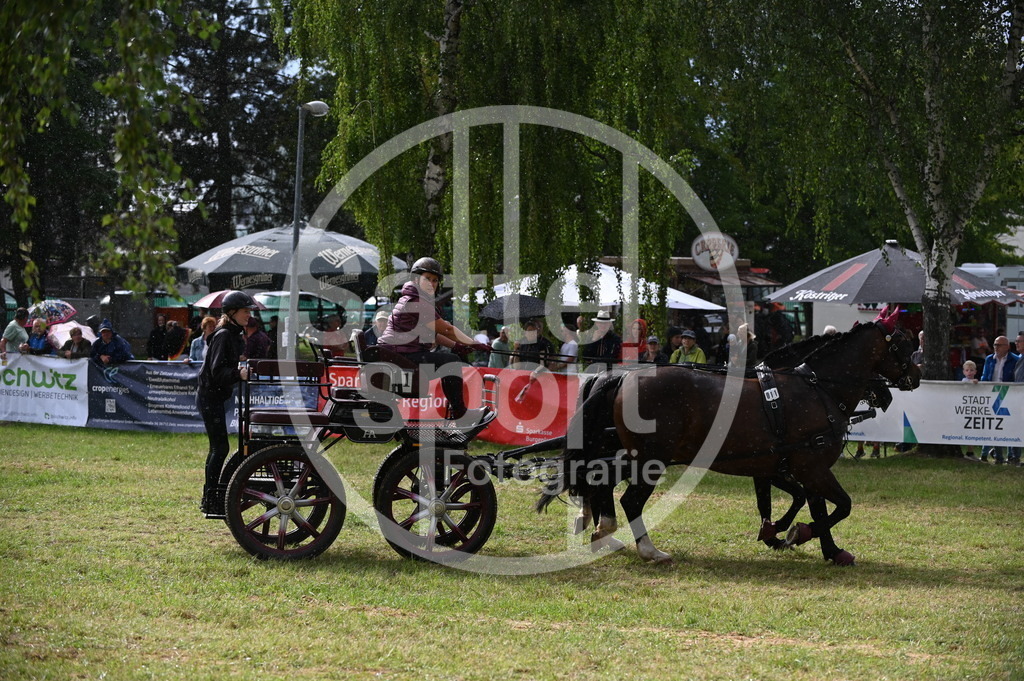 DSC_8809 | sattelsport - Realisiert mit Pictrs.com