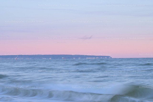 Sonnenaufgang Göhren (1) | Naturfotografie Frauke Gläser - Realisiert mit Pictrs.com