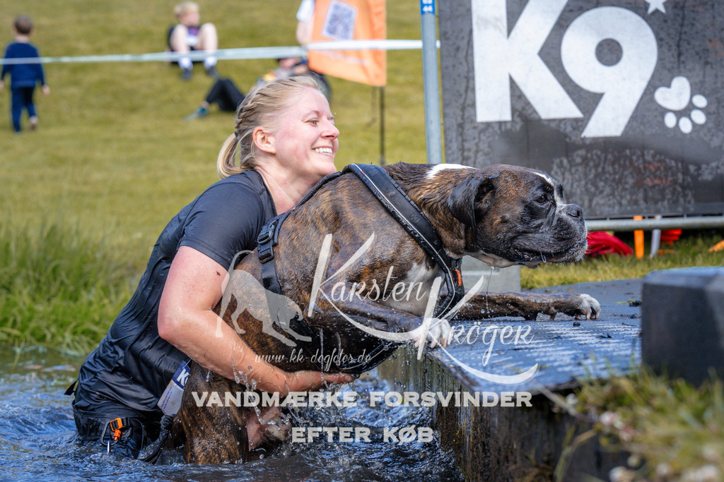 _ZZ999151059 | kk-dogfotos