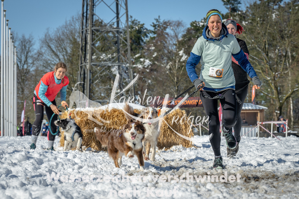 1105_ZZ94833-2 | kk-dogfotos