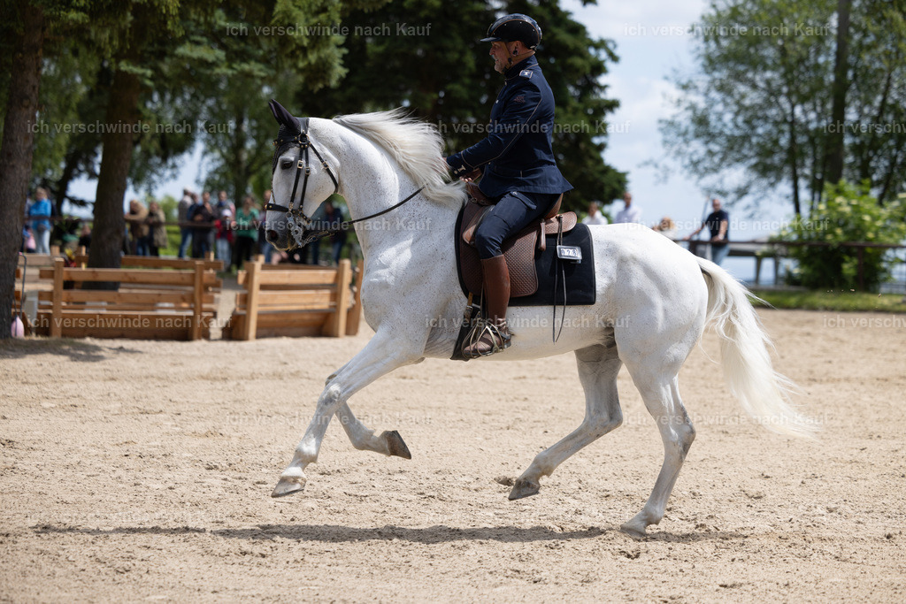 Masterclass_stoibphotography_C2_C8635.CR3 | working equitationturnier fotograf videograf stoibphotography marixx film working equitation deutschland reitsport turnierfotografie eventfotografie equestrian events