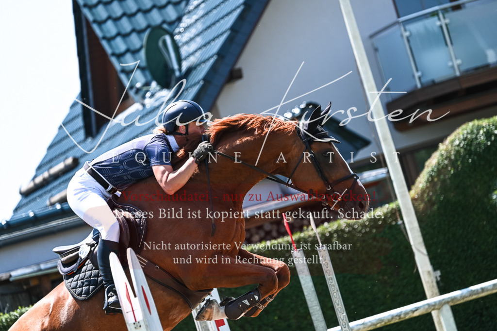 DSC_0147 | Pferde- und Turnierfotografie in Westsachsen. Pferdeportraits, Auftragszeichnungen und intuitive Kunst.