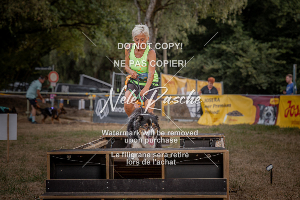 nelerasche_SummerNights26_SaBrücke2030-2100_16 | nelerasche