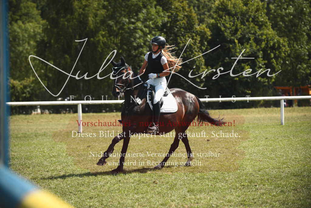 DSC_6615 | Pferde- und Turnierfotografie in Westsachsen. Pferdeportraits, Auftragszeichnungen und intuitive Kunst.