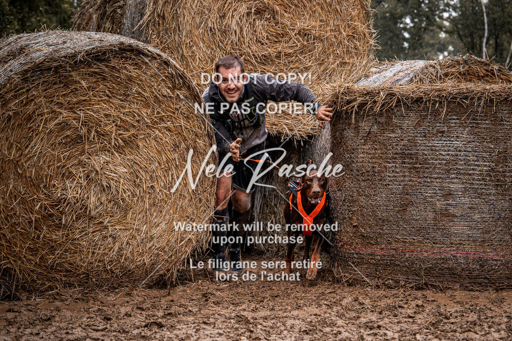 nelerasche_Hunsrück_So09-11_111 | nelerasche